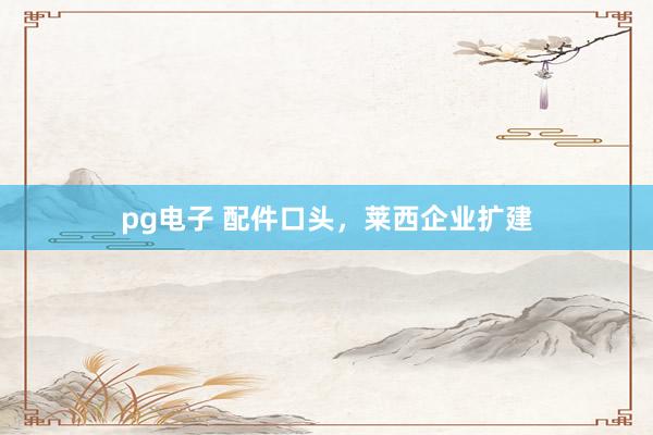 pg电子 配件口头，莱西企业扩建