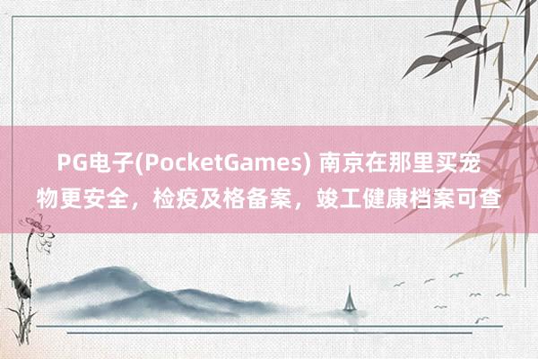 PG电子(PocketGames) 南京在那里买宠物更安全，检疫及格备案，竣工健康档案可查