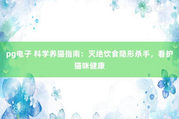 pg电子 科学养猫指南：灭绝饮食隐形杀手，看护猫咪健康