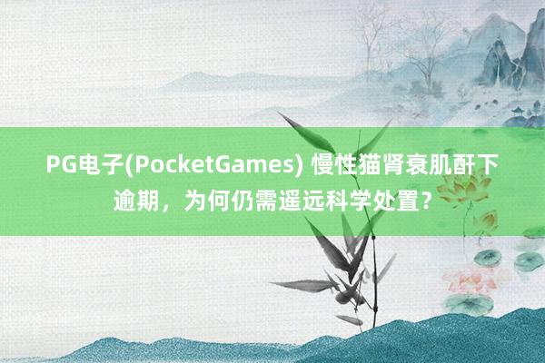 PG电子(PocketGames) 慢性猫肾衰肌酐下逾期，为何仍需遥远科学处置？