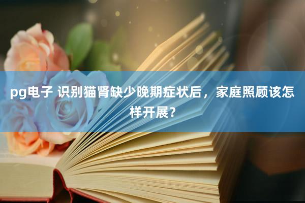 pg电子 识别猫肾缺少晚期症状后，家庭照顾该怎样开展？