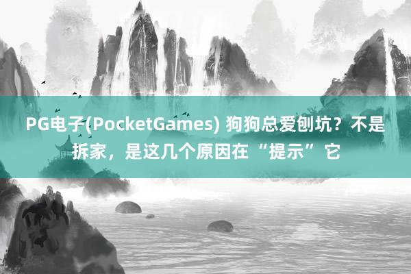PG电子(PocketGames) 狗狗总爱刨坑？不是拆家，是这几个原因在 “提示” 它
