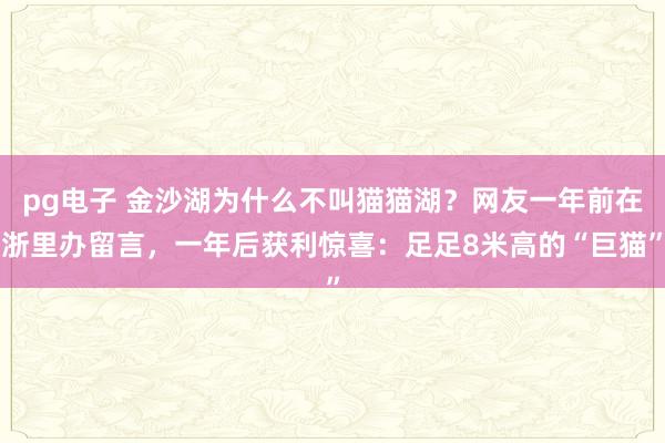 pg电子 金沙湖为什么不叫猫猫湖？网友一年前在浙里办留言，一年后获利惊喜：足足8米高的“巨猫”