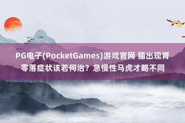 PG电子(PocketGames)游戏官网 猫出现肾零落症状该若何治？急慢性马虎才略不同