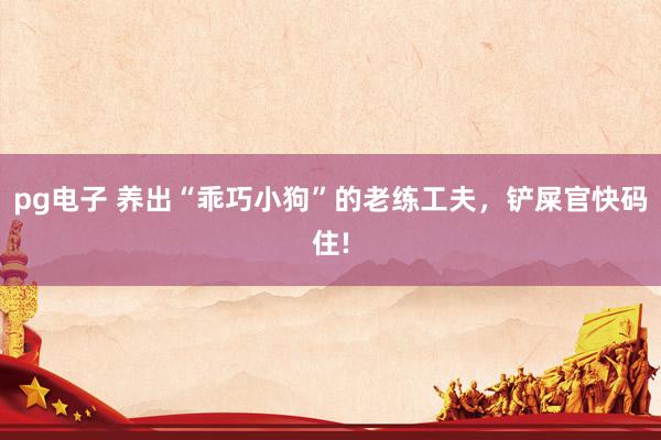 pg电子 养出“乖巧小狗”的老练工夫，铲屎官快码住!