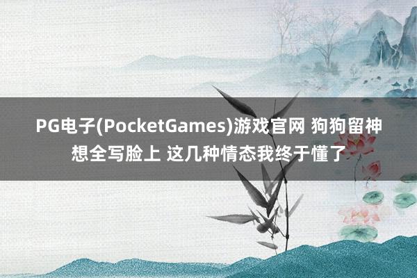 PG电子(PocketGames)游戏官网 狗狗留神想全写脸上 这几种情态我终于懂了