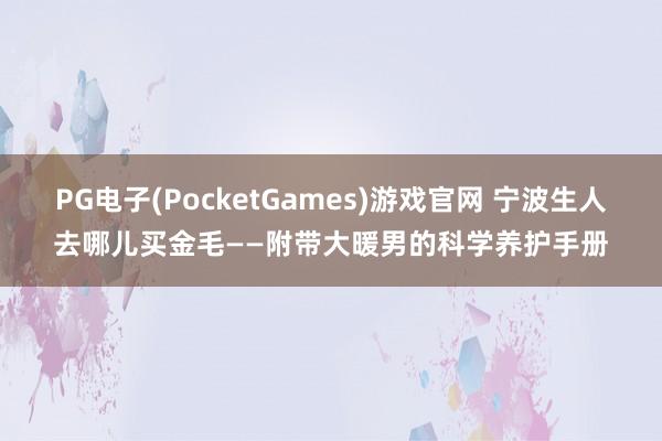 PG电子(PocketGames)游戏官网 宁波生人去哪儿买金毛——附带大暖男的科学养护手册
