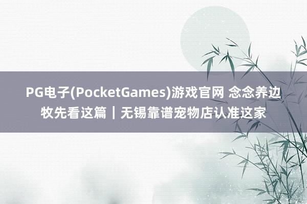 PG电子(PocketGames)游戏官网 念念养边牧先看这篇｜无锡靠谱宠物店认准这家