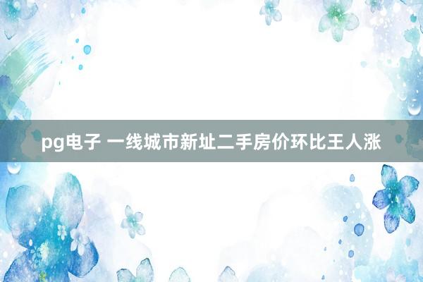 pg电子 一线城市新址二手房价环比王人涨