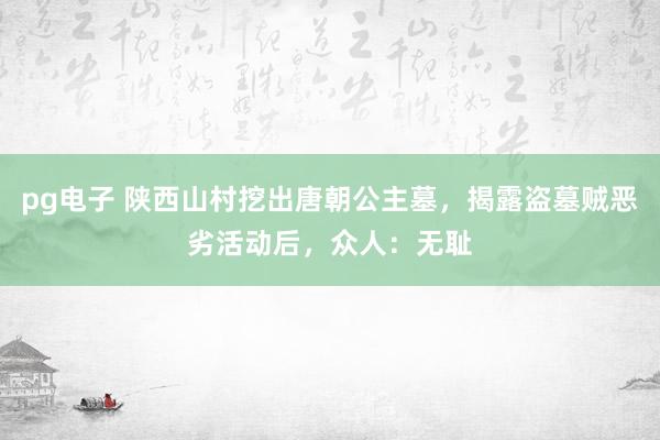 pg电子 陕西山村挖出唐朝公主墓，揭露盗墓贼恶劣活动后，众人：无耻