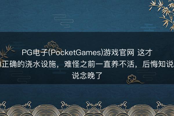 PG电子(PocketGames)游戏官网 这才是多肉正确的浇水设施，难怪之前一直养不活，后悔知说念晚了