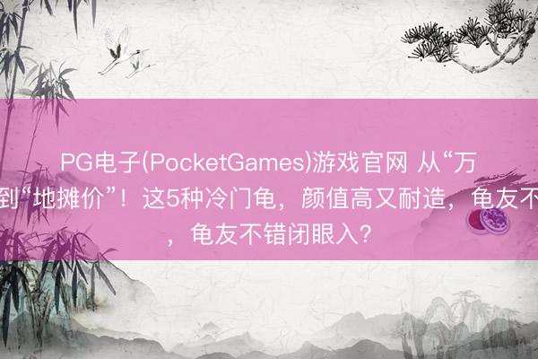 PG电子(PocketGames)游戏官网 从“万元神龟”跌到“地摊价”！这5种冷门龟，颜值高又耐造，龟友不错闭眼入？