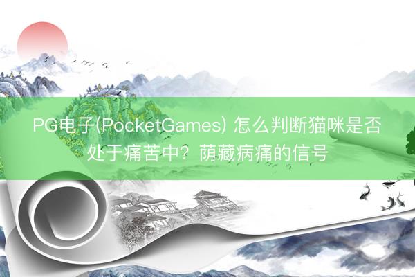 PG电子(PocketGames) 怎么判断猫咪是否处于痛苦中？荫藏病痛的信号