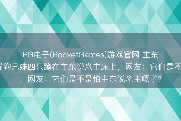 PG电子(PocketGames)游戏官网 主东说念主伤风没上班，猫狗兄妹四只蹲在主东说念主床上，网友：它们是不是怕主东说念主嘎了？