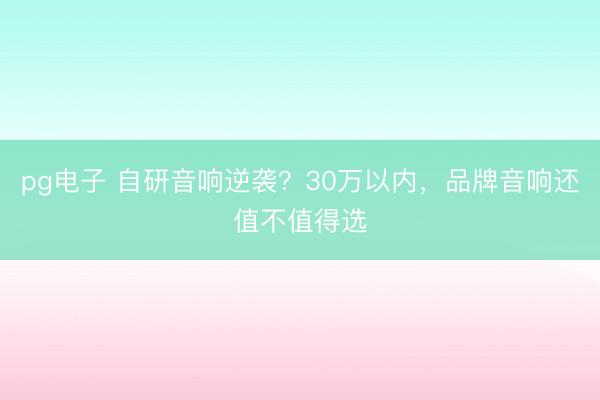 pg电子 自研音响逆袭？30万以内，品牌音响还值不值得选